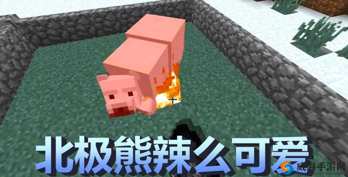 我的世界北极熊驯服与骑乘全攻略