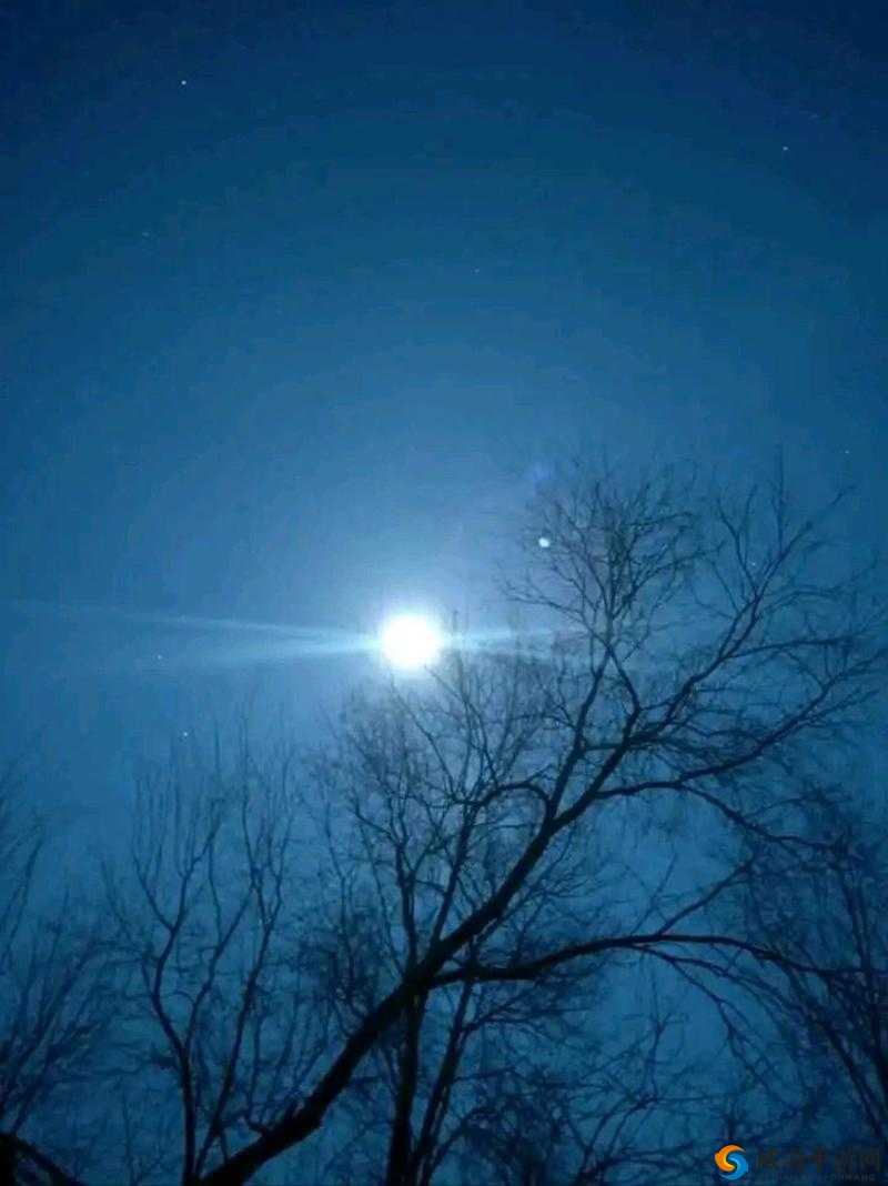 小芳月亮很圆：夜晚的静谧与美丽的自然奇观如何触动人心？
