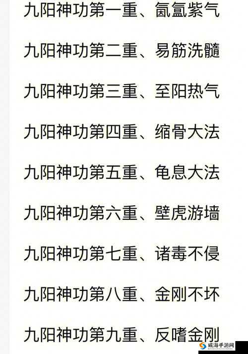 九阳神功起源，武侠迷的奇幻之旅，玩法深度解析