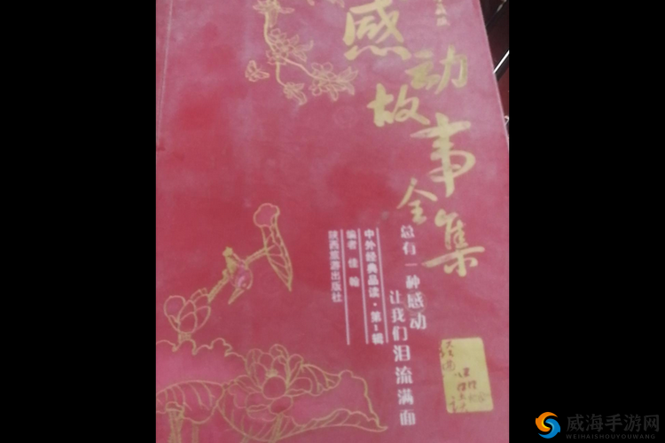 钰慧和庆仔阿伯是什么关系？他们的故事为何让人感动？