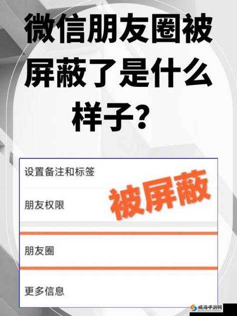 朋友圈屏蔽解除器真的有用吗？会被发现吗？朋友圈屏蔽解除器：是神器还是陷阱？朋友圈屏蔽解除器：真的能解除屏蔽吗？朋友圈屏蔽解除器：你需要知道的风险朋友圈屏蔽解除器：到底靠不靠谱？朋友圈屏蔽解除器：是道德的吗？朋友圈屏蔽解除器：小心驶得万年船