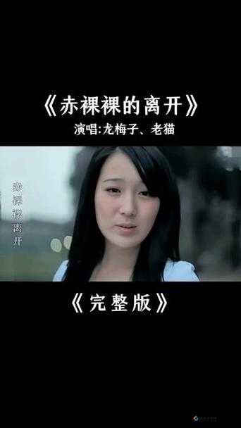梅花13光溜溜的样子引发热议，网友纷纷猜测背后的故事与原因