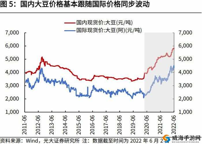 仙林踪 2023 年 51 大豆行情网：最新价格走势如何？影响因素有哪些？