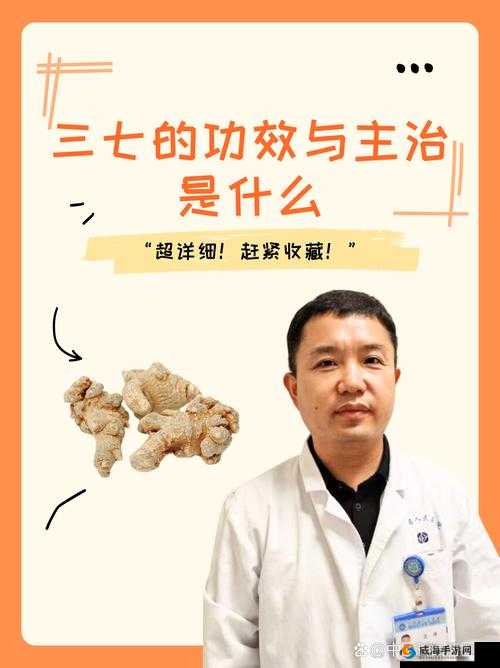 三七大但人文艺术免费内容究竟有哪些？探索其独特魅力与丰富内涵
