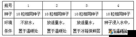 如何在三十分钟内完成轮滑下载？这里有你需要的答案