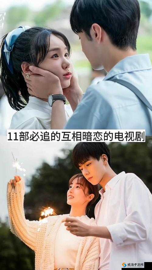 2018 年最好看的中文在线观看电视剧有哪些？这里有你喜欢的吗？