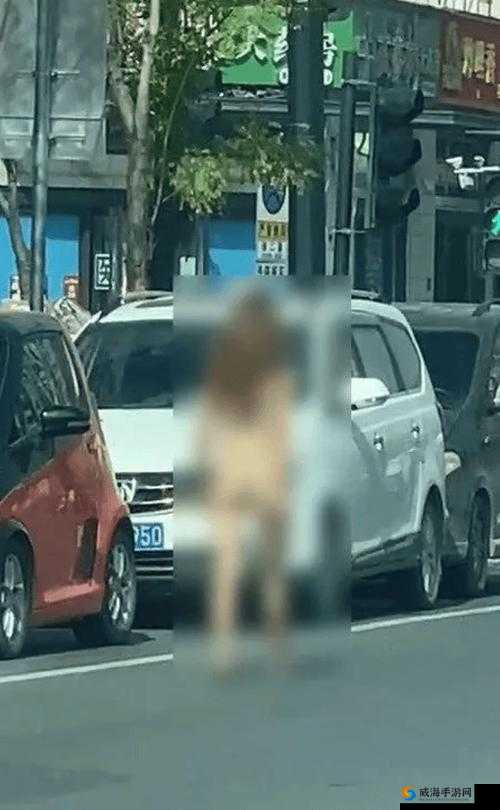 关于美女裸体与骡子做爰这一话题，网络上有许多不实信息和误导性内容，我们应当以科学和理性的态度对待此类信息在此提醒大家，尊重生命、尊重科学，避免传播不实信息如果您对动物行为学或相关科学话题感兴趣，建议查阅权威资料或咨询专业人士