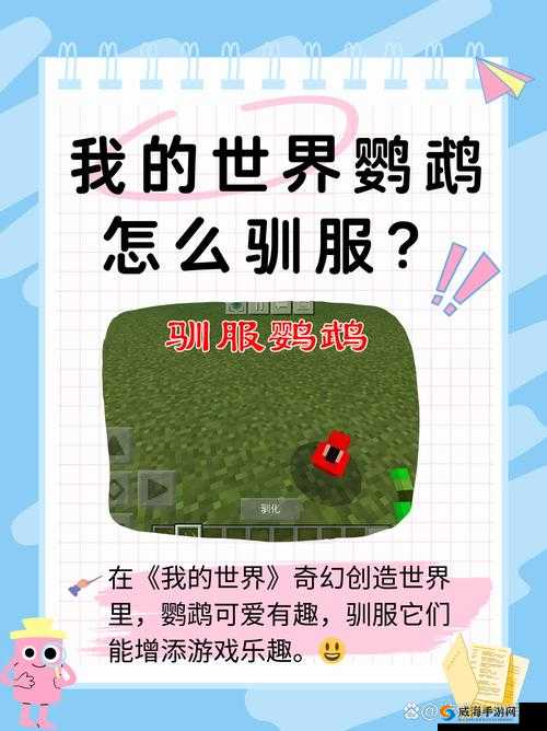 我的世界小鸟怎么驯服与捕捉，资源管理的高效策略