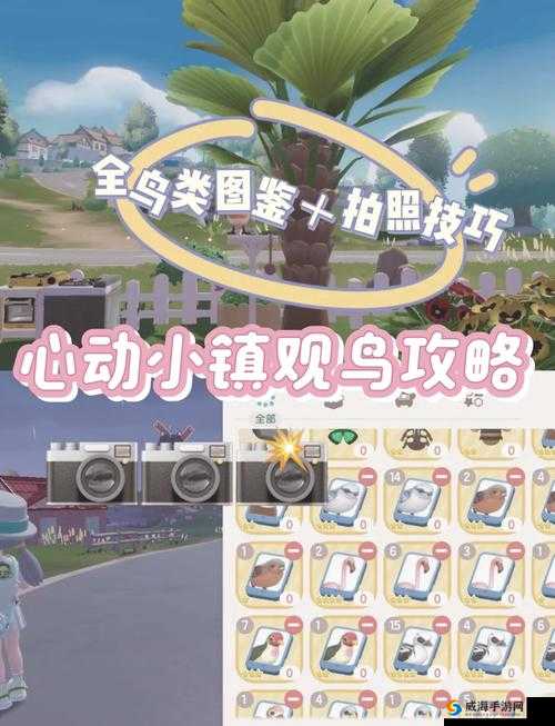 我的世界小鸟在哪？小鸟位置分布详解