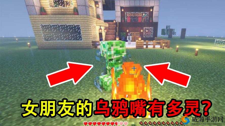 我的世界乌鸦怎么繁殖，乌鸦繁殖方法详解
