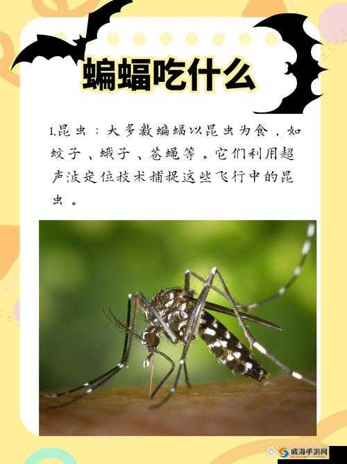 我的世界蝙蝠吃什么？蝙蝠怎么喂养？——演变史专题