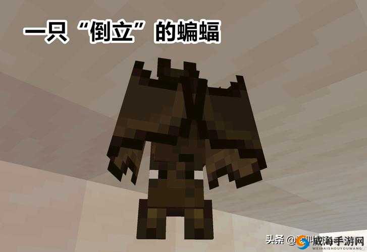 我的世界蝙蝠怎么驯服与捕捉