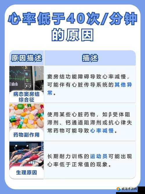 2023年最新解析：男生女生差差差现象背后的原因与影响
