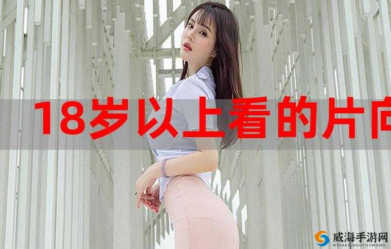 2018 在线观看有哪些精彩内容？如何快速找到 2018 在线观看资源？