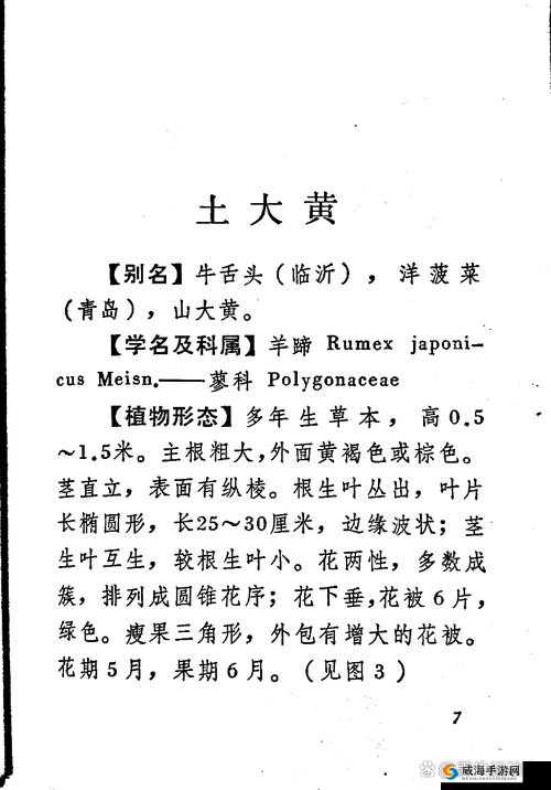 土黄有哪些使用方法？它在生活中有哪些作用？