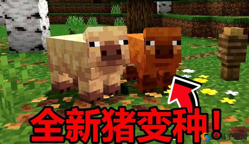 我的世界野猪怎么繁殖，野猪繁殖方法详解