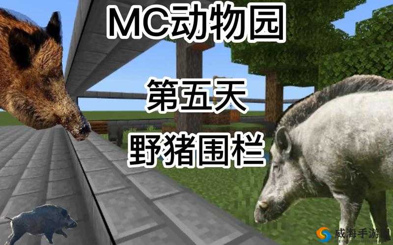 我的世界野猪吃什么？野猪喂养方式详解