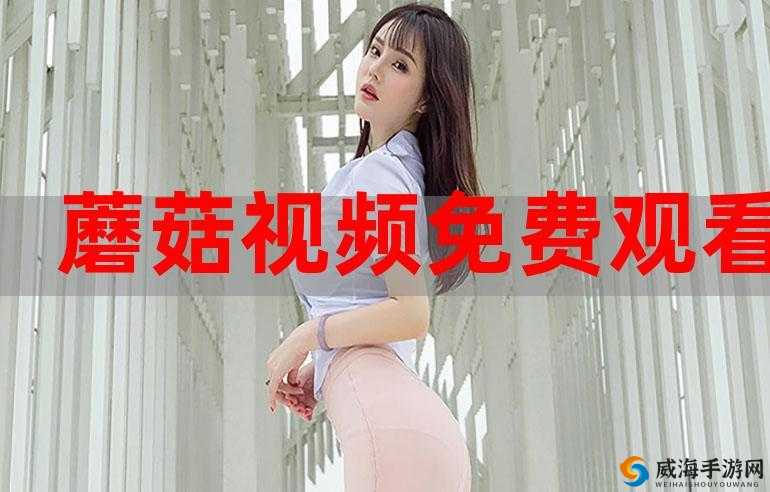蘑菇视频官方免费版下载大全，你想知道的都在这里