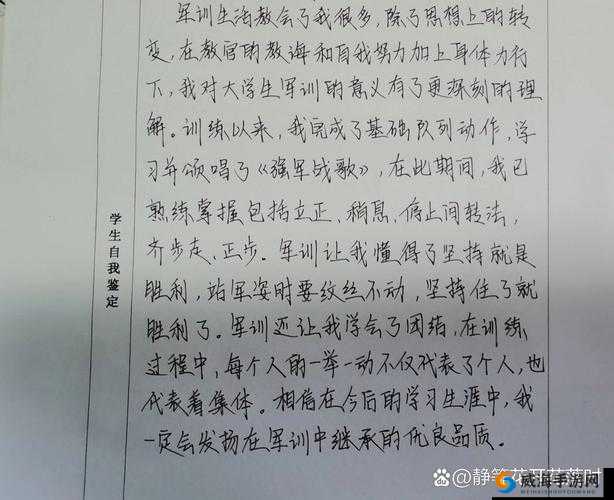 班长对新兵新训鉴定的全面评价：从训练表现到团队协作的深度分析
