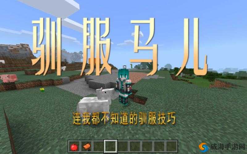 我的世界马怎么生小马 马怎么繁殖，全面解析与深度探索