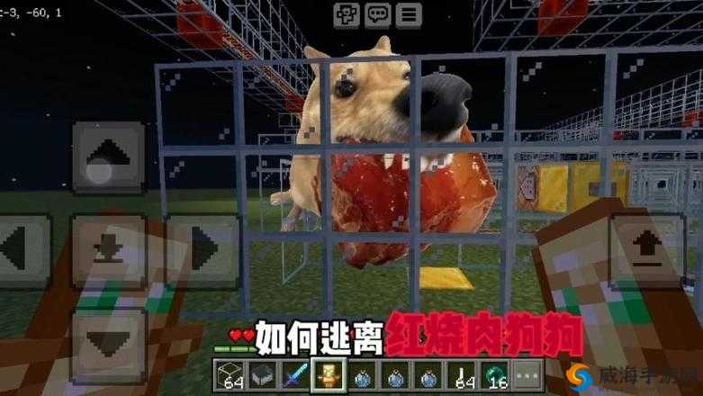 我的世界，探索狗狗的饮食与喂养之道