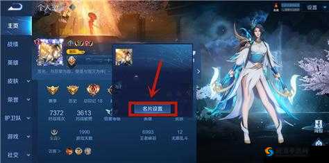王者荣耀相册怎么玩，交友名片相册功能玩法介绍及其资源管理策略