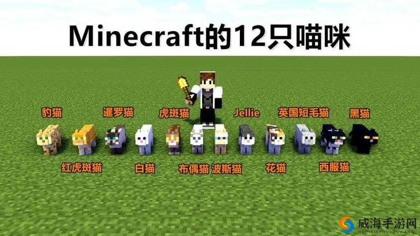 我的世界中猫的繁殖与资源管理
