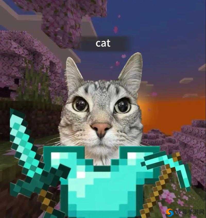 我的世界猫咪驯服与捕捉，玩法革命的未来展望