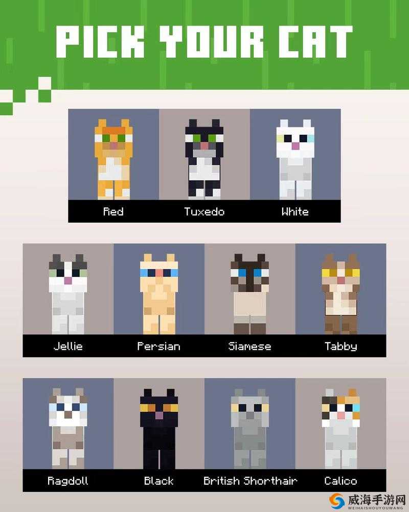 我的世界猫在哪？猫位置分布详解