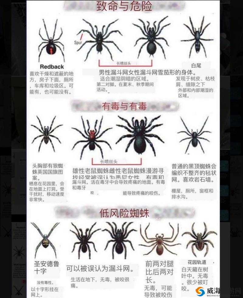我的世界树篱蜘蛛图鉴与树篱蜘蛛属性详解，资源管理的艺术