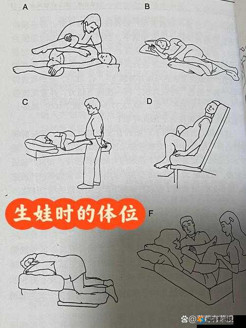 t怎么生孩子：全面解析生育过程与科学方法，助你轻松迎接新生命