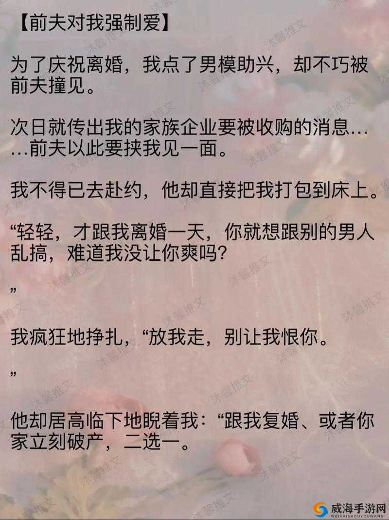 网络小说：霸道总裁的强制爱