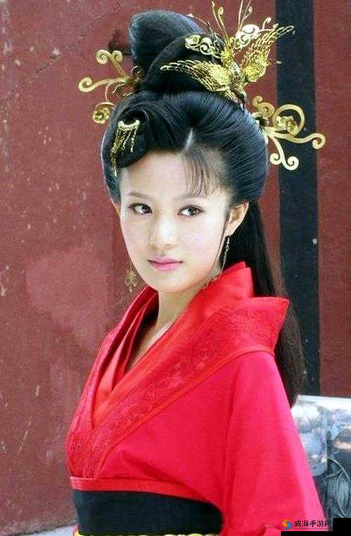 王昭君电视剧全集在线观看：经典历史剧重温，感受古代美人的传奇一生
