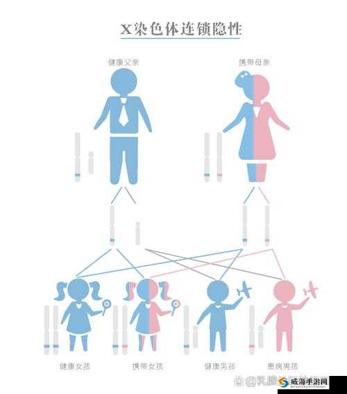 亚洲人和欧美人遗传基因差异大揭秘：为何体质与外貌如此不同？