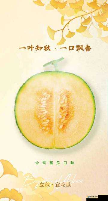 51吃瓜最新回家的路到底是怎样的？探寻其背后的故事与真相