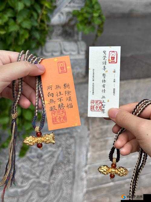 108金刚杵入莲花后身体变化的奥秘：深入探索身体能量与灵性提升的神奇效应