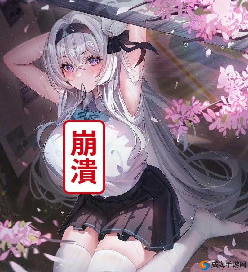 甘雨被盗宝团挤扔事件最新进展：网站曝光细节引发网友热议与关注