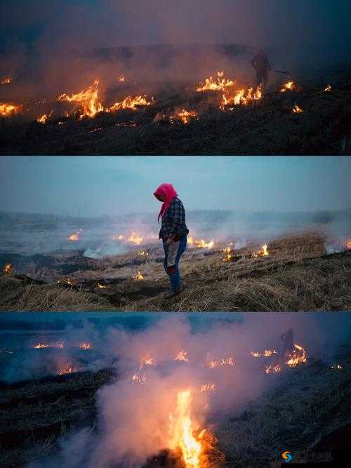 黑暗爆料不打烊永不迷路究竟是什么？深度解析其背后的故事与意义