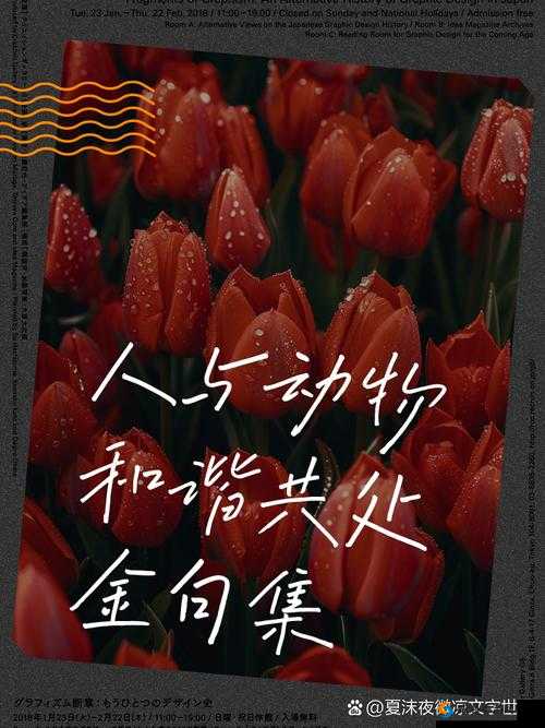 人与禽性动交：探讨人类与动物之间复杂关系的心理学与社会学视角