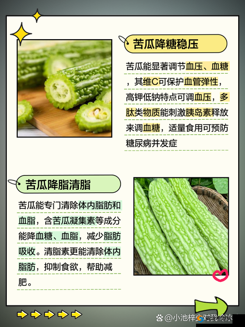 苦瓜网是什么？它有哪些独特的内容和功能？快来一探究竟