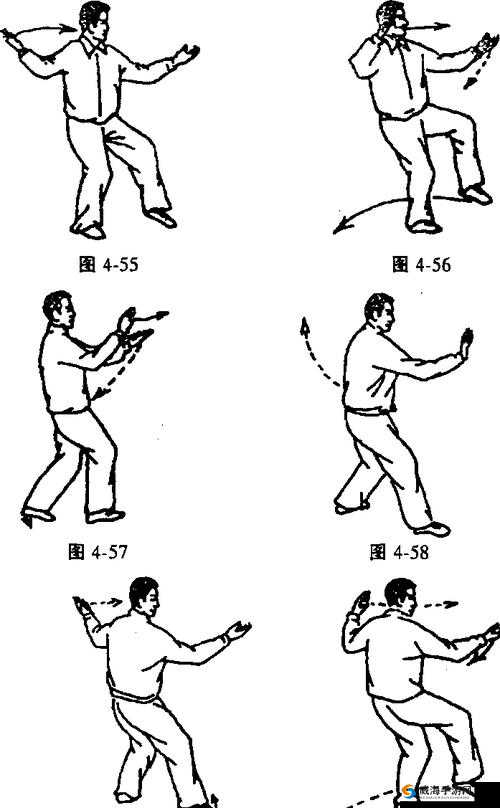 52 式太极拳动作分解及实战应用pdf 在线看：详细讲解，快速提升你的太极拳技艺
