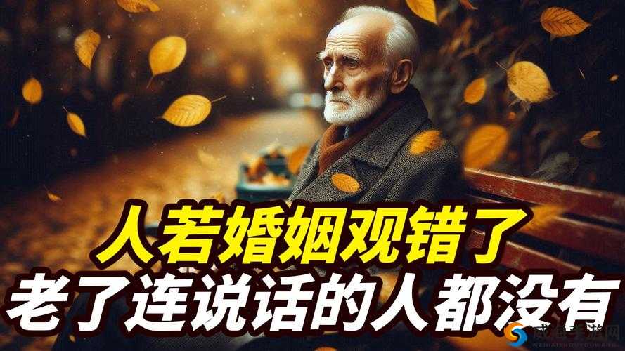 欧洲老配少现象解析：年龄差距如何影响现代婚姻关系与社会观念？