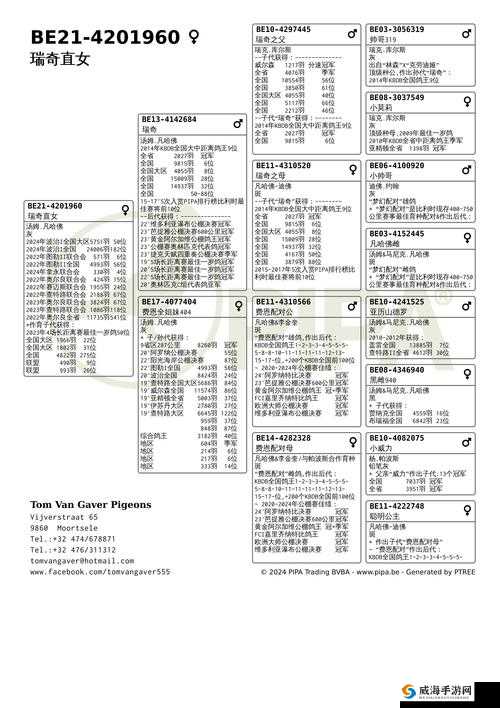 汤姆的温馨提示：十八岁英文学习指南，掌握关键技巧提升语言能力