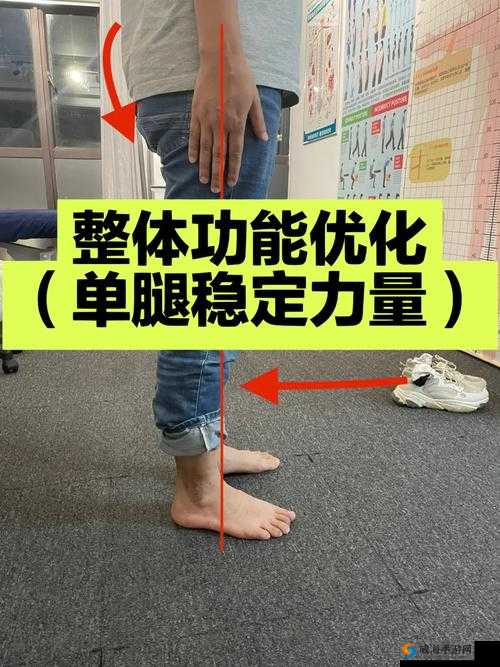 一条腿的重量是多少？科学揭秘人体结构与体重的关系