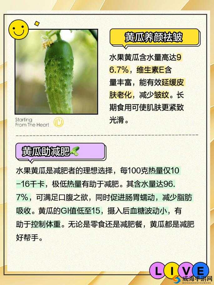 牛奶黄瓜有何特别功效？牛奶黄瓜的搭配怎样带来更多惊喜？