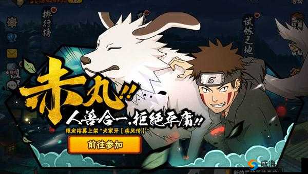 火影忍者手游疾风牙图鉴，犬冢牙疾风传技能属性介绍在资源管理中的重要性及高效利用策略