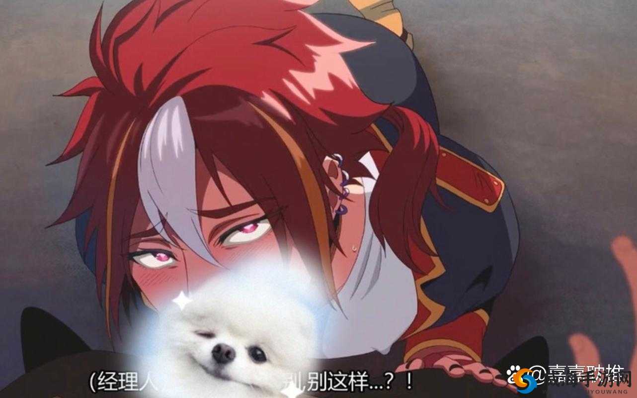 地下偶像sana双男主究竟有何魅力？他们的故事为何引人关注？
