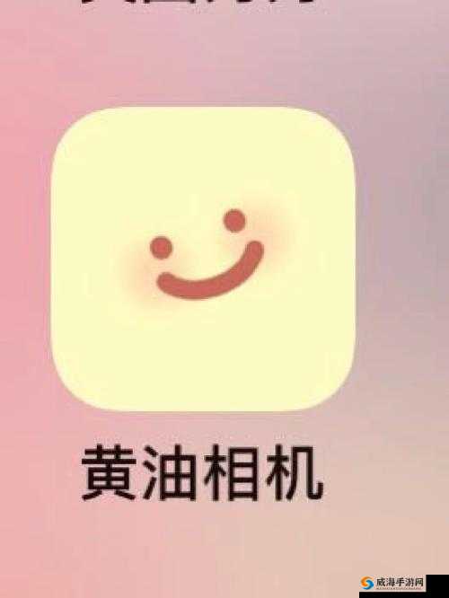 小黄油网站入口最新推荐：如何快速找到安全可靠的访问路径？详细指南与实用技巧分享