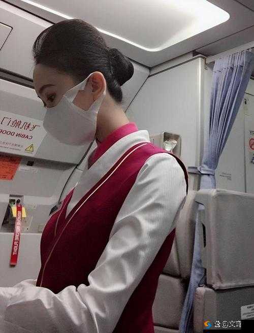 法国空姐八部曲之五：揭秘空乘职业背后的故事与挑战，带你深入了解空姐的真实生活