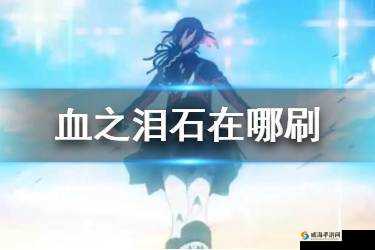 FGO血之泪石，修炼本、用途与资源管理策略